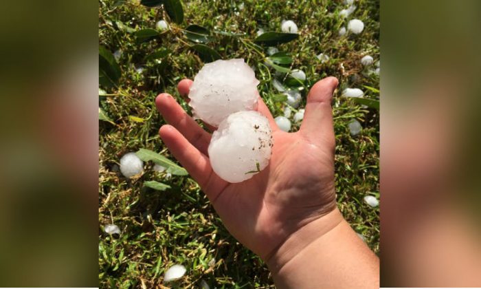 Inch Hailstones Hit Australias Sydney In White Christmas