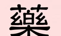 Yao Gives Insight Into Traditional Chinese Medicine