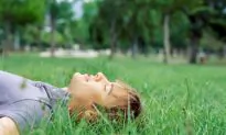 Daydreaming Can Find Solutions to Complex Problems