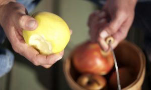 Eat the Seeds: Why the Germs Found Inside Apples May Be Good for You