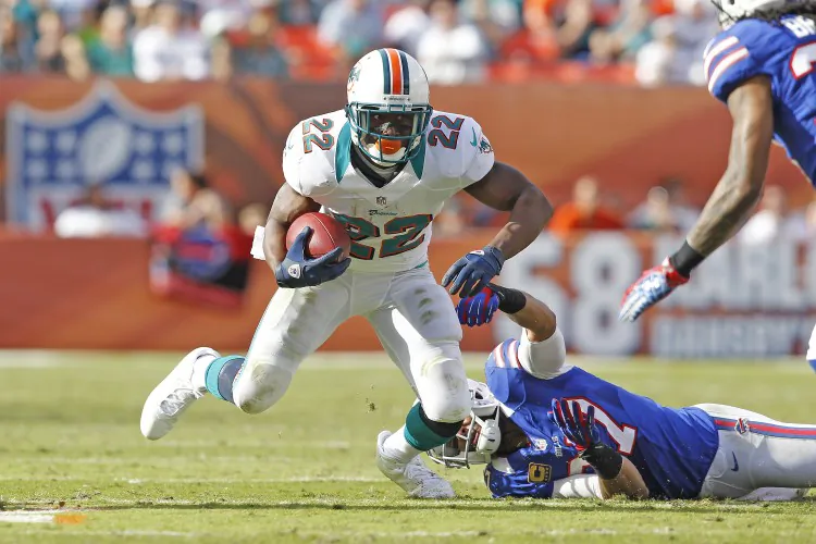 Reggie Bush #22 of the Miami Dolphins runs with the ball against the Buffalo Bills on Dec. 23, 2012. (Joel Auerbach/Getty Images)