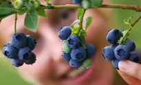5 Natural Remedies That Will Blow Your Mind