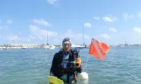 Underwater Photography: Digital has Not Changed the Basic Principles