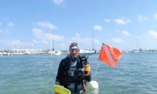 Underwater Photography: Digital has Not Changed the Basic Principles