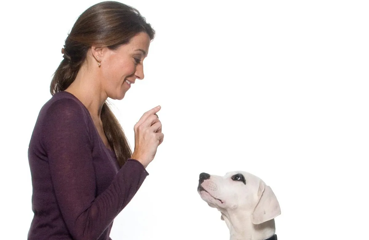 Andrea Arden (Photo Courtesy of Andrea Arden Dog Training)
