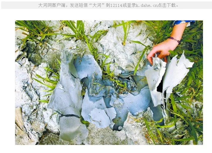 A thick layer of pulp has settled on the surface of fields in Hebei Province, where farmers were forced to use wastewater from a paper mill to irrigate their crops. (Dahe.cn)