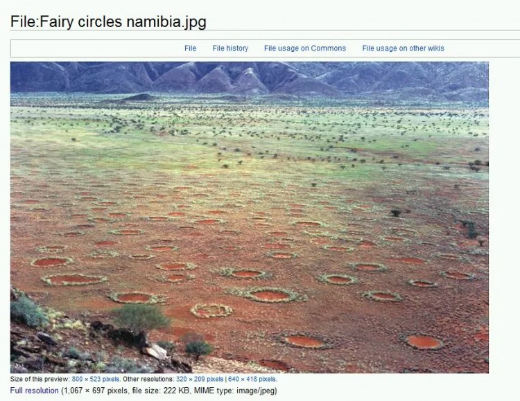 A screenshot of the Wikimedia Commons website shows "fairy circles" in southwestern Africa. (Screenshot via The Epoch Times)