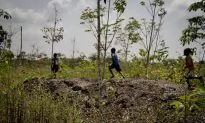African Farmers Struggle as Swedish Investment Pulled