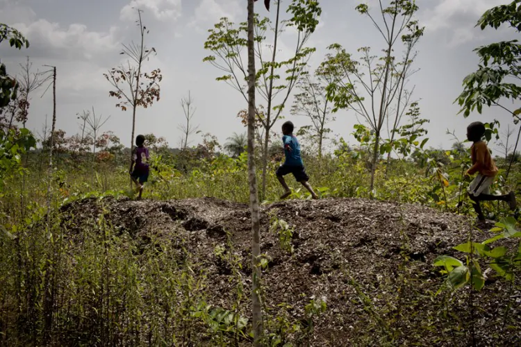 Children play on an abandoned pile of wood chips that was meant to be used as biomass for energy production in the West African country of Liberia. An investment made by Swedish energy company Vattenfall in 2010, and suddenly withdrawn in 2012, has left Liberian plantation owners and workers in a tough spot. (Anders Hansson/Swedwatch)