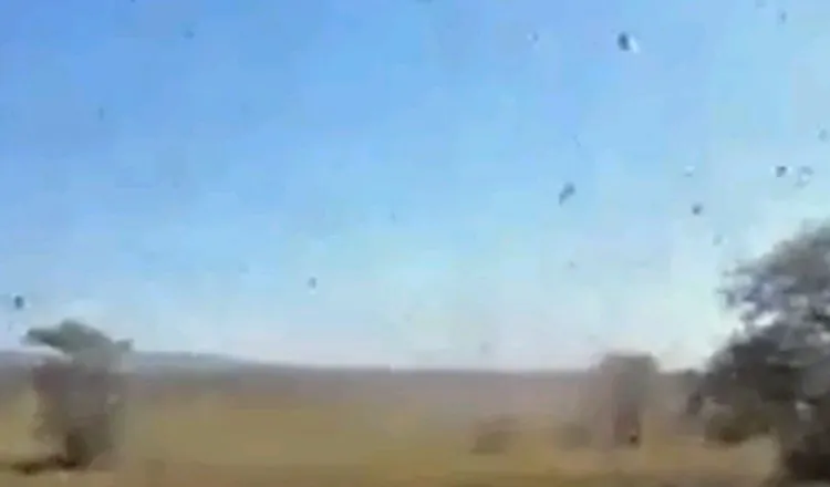 A plague of locusts has swarmed over Madagascar. (Screenshot via YouTube/The Epoch Times)