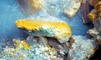 How to Thrive in Battery Acid and Among Toxic Metals
