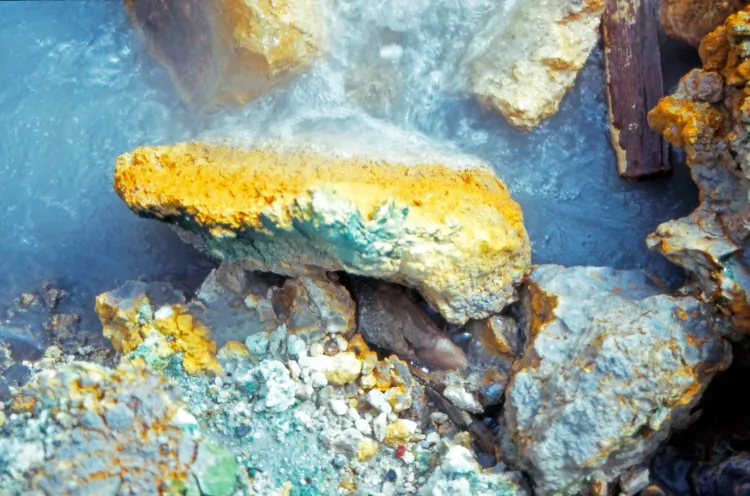 Rock in an Icelandic hot spring near Reykjavik with sulfur and Galdieria sulphuraria. (Christine Oesterhelt)
