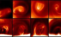 Whirlwinds Wander Around Venus’s South Pole