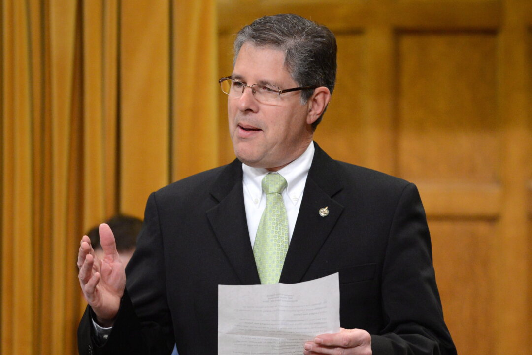 Conservative MP Mark Warawa delivers a members statement prior to question period in the House of Commons on April 24, 2013. (Sean Kilpatrick/The Canadian Press)