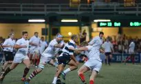 Taipan Challenge Teetered on the Brink