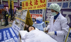 Tabbed for Organ Harvesting at Masanjia