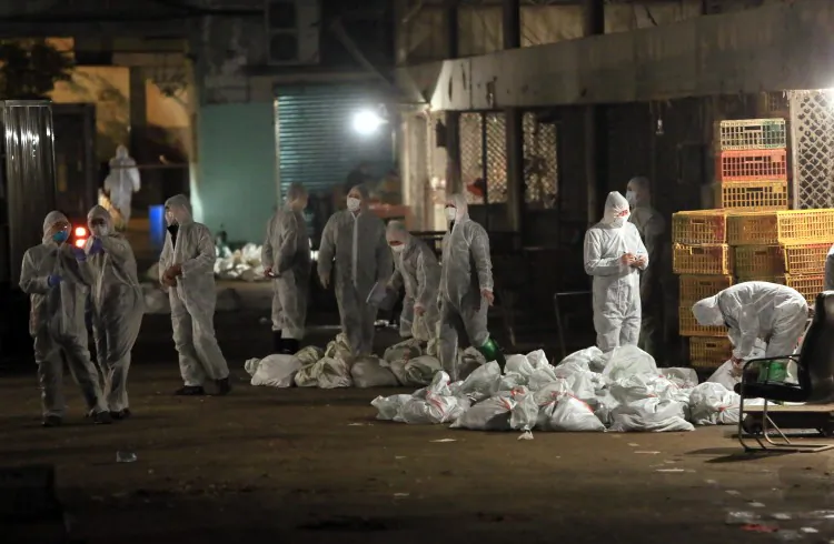 Caption: Chinese health workers collect bags of dead chickens at Huhuai wholesale agricultural market in Shanghai on April 5. Authorities in Shanghai began the mass slaughter of poultry at a market after the H7N9 bird flu virus, which has killed five people in China, was detected there, state media said. (STR/AFP/Getty Images)