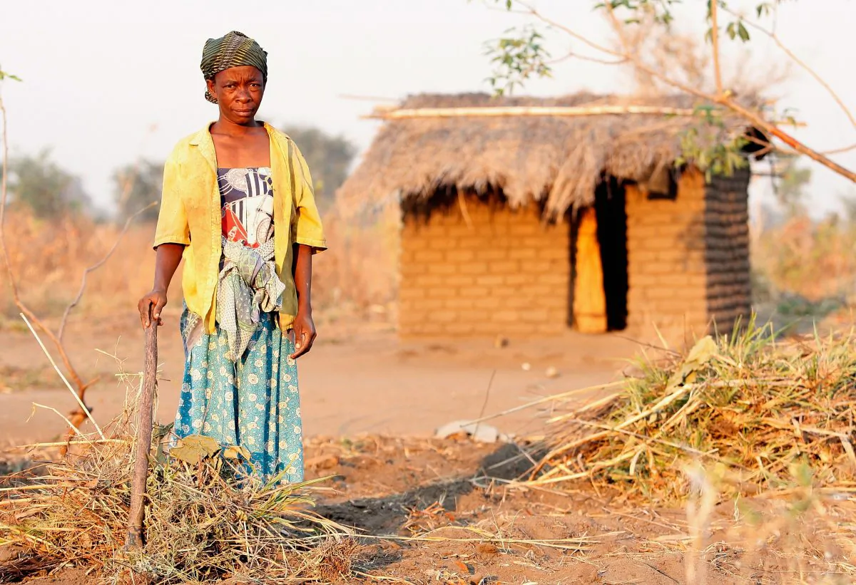 A stock photo of a woman clearing stalks and leaves from an agricultural field in Ligwangwa, Malawi, on Oct. 3, 2007. Most African women work in agriculture, making them major stakeholders in forming policies to mitigate climate change effects, yet their voices are not heard. (Mark Mainz/Getty Images for HELP Malawai Foundation)