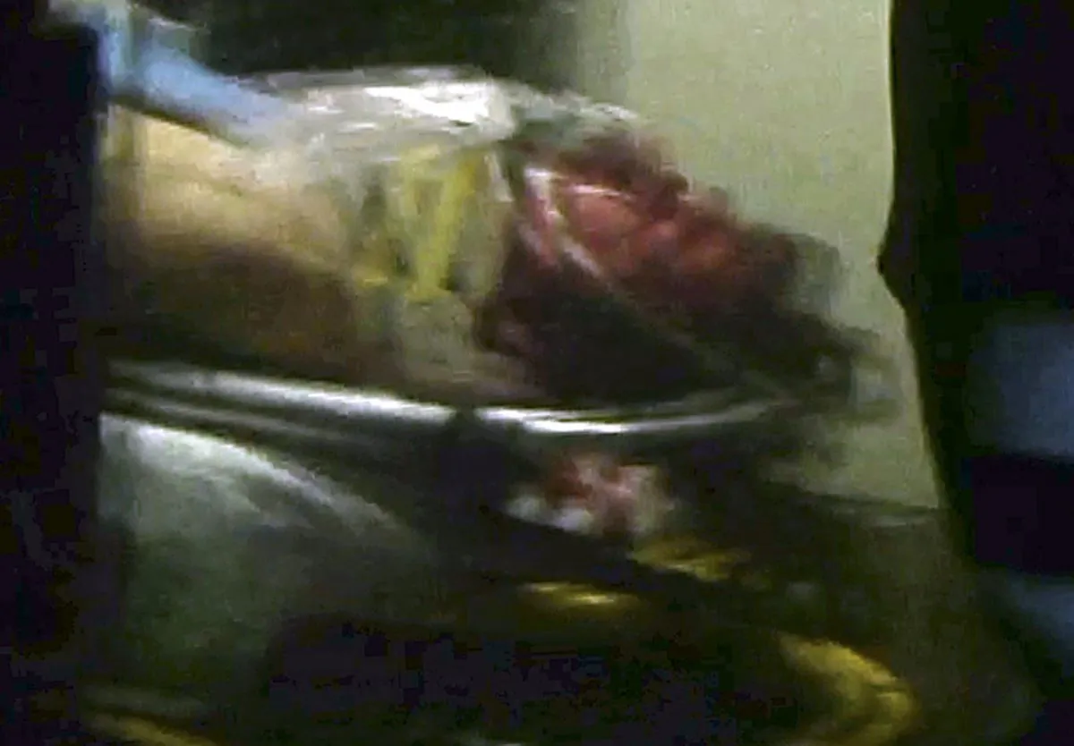 This still frame from video shows Boston Marathon bombing suspect Dzhokhar Tsarnaev visible through an ambulance after he was captured in Watertown, Mass., Friday, April 19, 2013. (AP Photo/Robert Ray)