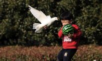 Chinese Boy Develops Bird Flu After Father
