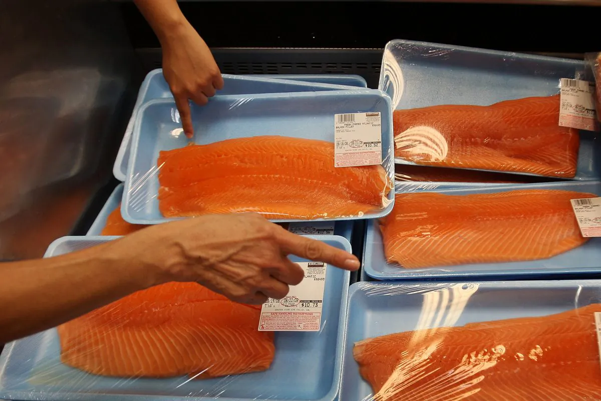 A file photo of shoppers selecting salmon in a large chain food store in Glendale, Calif., on Aug. 19, 2008. (Photo by David McNew/Getty Images)