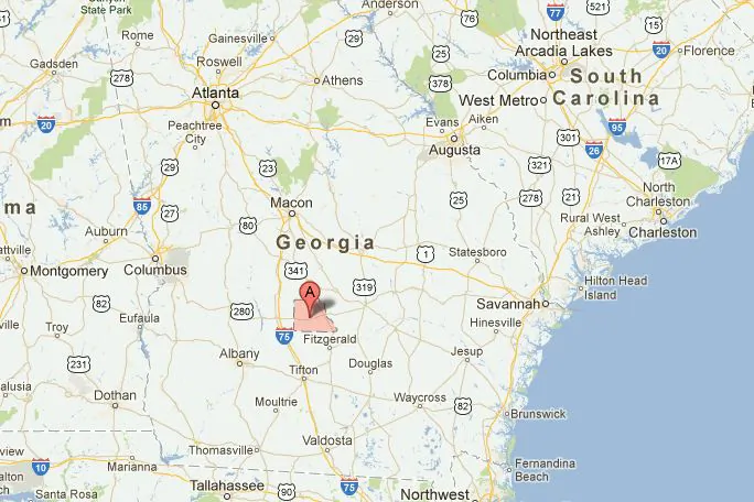 A screenshot of Google Maps shows the location of Wilcox County in Georgia. (Via The Epoch Times)