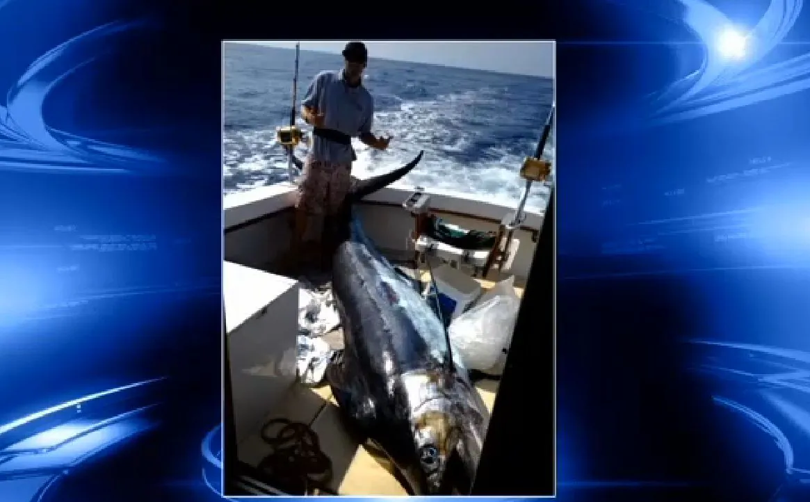 A screenshot of a Hawaii News Now shows the 759-pound marlin.