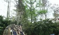 Missing Family Found After Night in Fla. Everglades