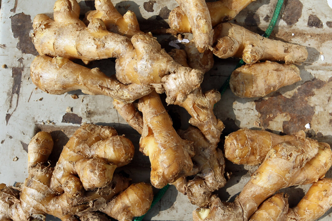 Since biblical times, ginger has helped drive the spice trade. The ancient Romans used it to make spiced wines to treat stomach ailments. (Christof Koepsel/Getty Images)