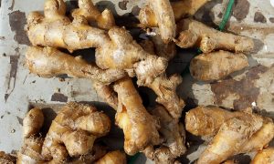 Ginger: A Warming Herb