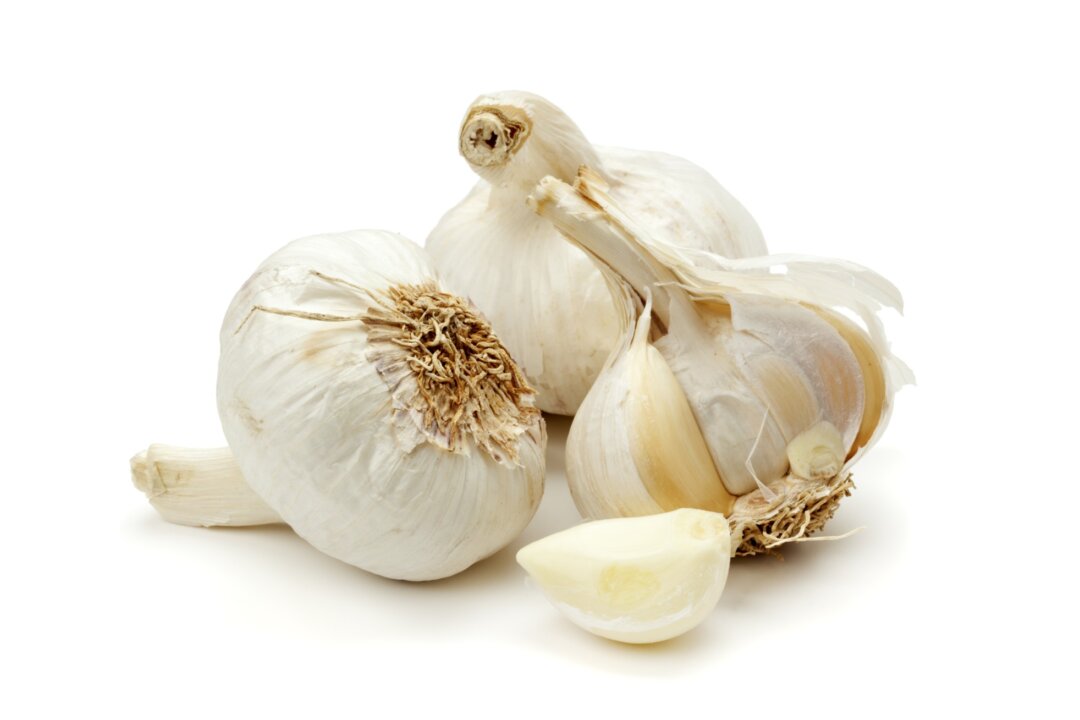 Garlic is effective against notoriously resistant strains of bacteria like staphylococcus and salmonella. (eyewave/Photos.com)