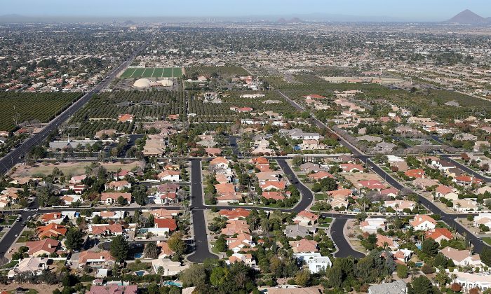 Rows of homes in Mesa, Arizona. (Justin Sullivan/Getty Images)