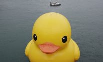 Giant Rubber Duck Makes Waves in Hong Kong (+Photos)