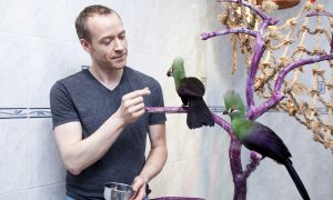 This Is New York: Daniel Kopulos on Saving Guatemalan Jungle Animals