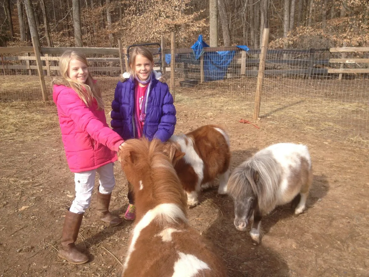 Sarah Lee, age 8, and Bekah Dirrim, age 9, play with ponies at Barn Buddies. (Kathy Lee/Barn Buddies)