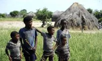 Botswana Only Highly Tolerant Country in Africa: Report