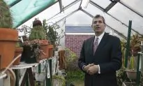Norman Bobrow, Big on Family, Cacti, and a Fun Workplace