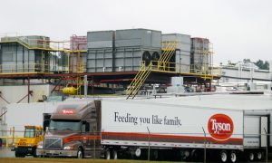 USDA to Streamline Poultry Inspection Despite ‘Critical Issues’