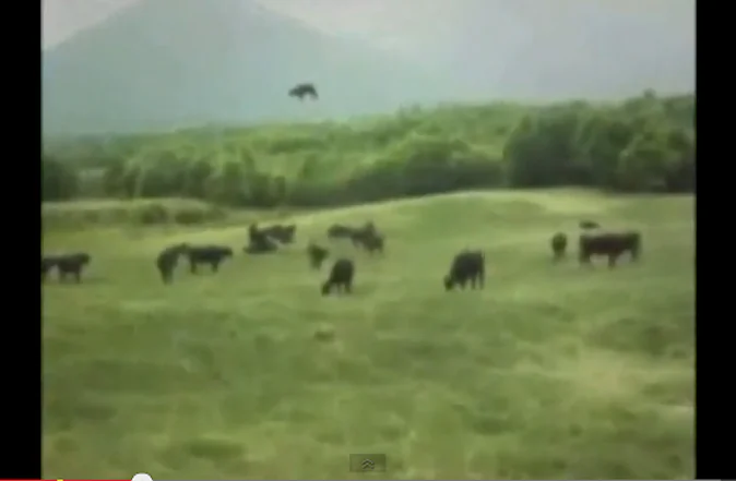Screen capture of a video from 1983 showing a cow in the distance slowly raising up in the air and then disappearing into a circular cloud. Supporters of the video say that a farmer from Argentina would not know much about video editing and also how the cow shifts its weight in air is very genuine. Critics of the video say that the farmer was bankrupt and was after money. See video below.