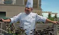 Locavore Toronto-Style