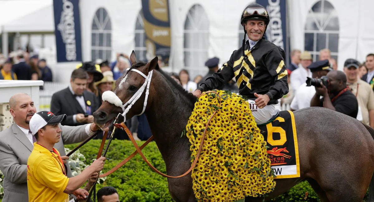 Gary Stevens smiles atop of Oxbow 6 in Winners Circle after winning the 138th running of the Preakness Stakes at Pimlico Race Course on May 18, 2013 in Baltimore, Maryland. (Rob Carr/Getty Images) 