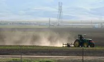 Spikes in Incurable Valley Fever Linked to Mega Drought