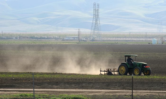 Dust rises as a farmer plows a field in Mendota, Calif., in the state's San Joaquin Valley on March 11, 2009. Dust carries spores that cause valley fever, a growing problem in the southwestern states. (Robyn Beck/AFP/Getty Images)
