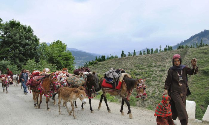 Kashmiri nomads journey with their animals as they walk in the hills on the outskirts of Doda in the northern state of Jammu and Kashmir in May 2011. A mild earthquake measuring 5.8 on Richter scale damaged few buildings in Doda, Gandoh & Badarwah and injured few children and teachers according to initial reports.(STRDEL/AFP/Getty Images)