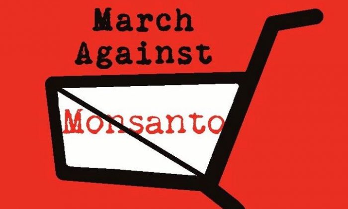 On May 25, 2013, activists from 400 cities around the world will unite for the March Against Monsanto. Facebook RSVPs alone suggest over 2 million marchers. (Logo by Emilie Rensink)