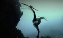 Mermaids New Evidence 2013: Discovery Channel’s New Special Explores Mermaids (+Videos)