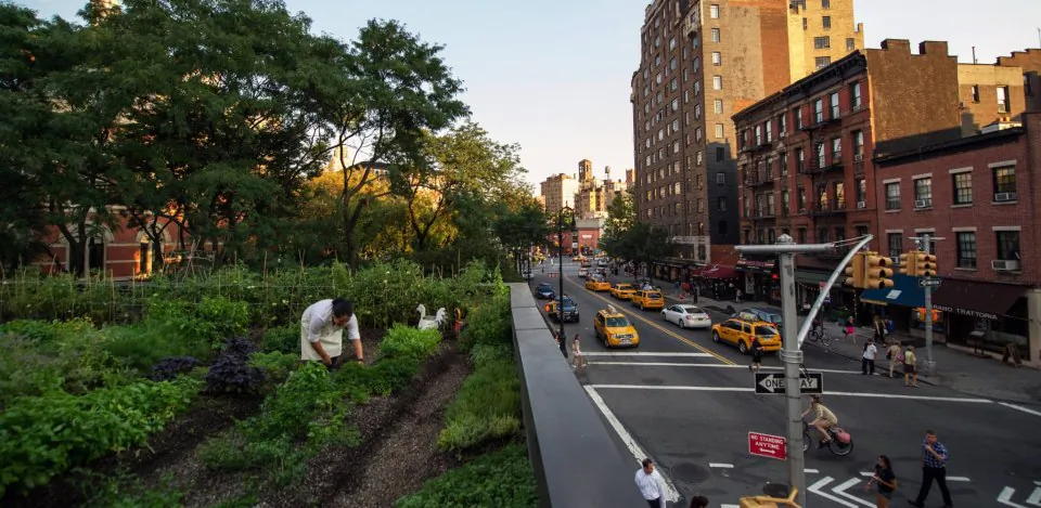 The rooftop farm at Rosemary’s, a new Italian restaurant in Greenwich Village. (Courtesy of Rosemary’s)