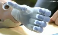 Bionic Hands: Woman Gets New $200,000 Pair of Hands (+Video)