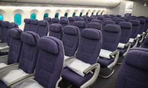 The Consummate Traveler: Fear in the Sky