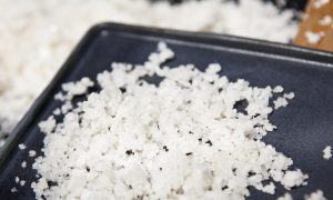 The City's New Rooftop Crop